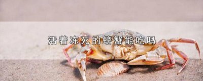 ​活着冻死的螃蟹能吃吗视频 活着螃蟹冻死的可以吃吗