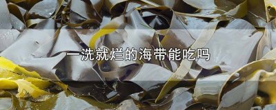 ​海带一洗就烂掉可以吃吗图片 海带一洗就烂掉可以吃吗有毒吗