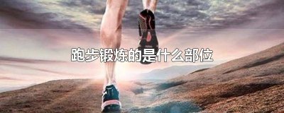 ​跑步锻炼的是什么部位 跑步锻炼的是什么部位的肌肉