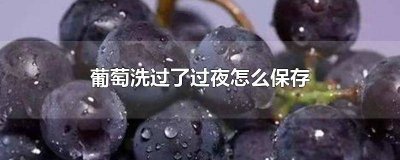 ​葡萄洗过后怎么保存 洗了的葡萄怎么保鲜