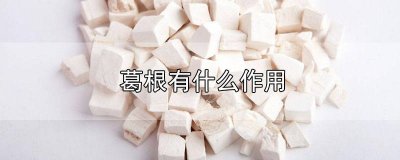 ​葛根有什么用途与功效 葛根有何功效?