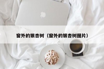 ​窗外的银杏树（窗外的银杏树图片）