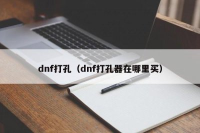 ​dnf打孔（dnf打孔器在哪里买）