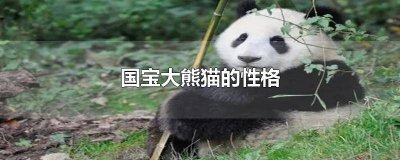 ​国宝大熊猫的特征怎么写 大熊猫的性格怎么写?