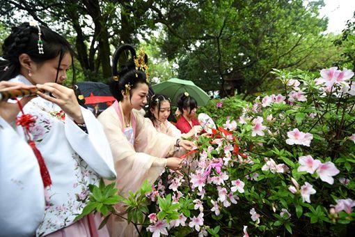 花朝节活动活动有哪些