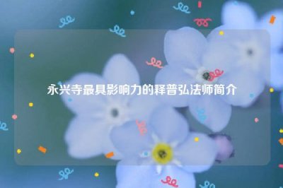 ​永兴寺最具影响力的释普弘法师简介