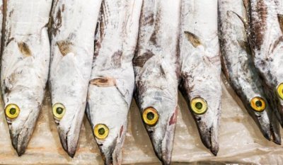 ​国产带鱼和进口带鱼有什么区别（为什么国产比进口好吃）