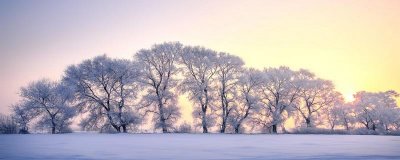 ​描写大雪纷飞的诗句