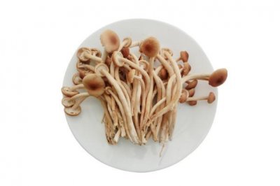 ​茶树菇泡多长时间最好 尿酸高能吃茶树菇吗