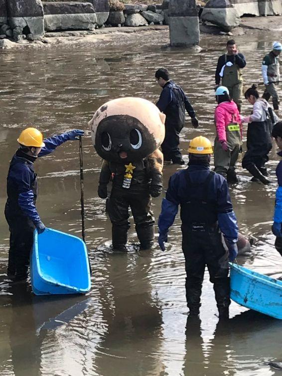 这个日本吉祥物遭官方封杀！却因为一段暴力视频在海外火了！