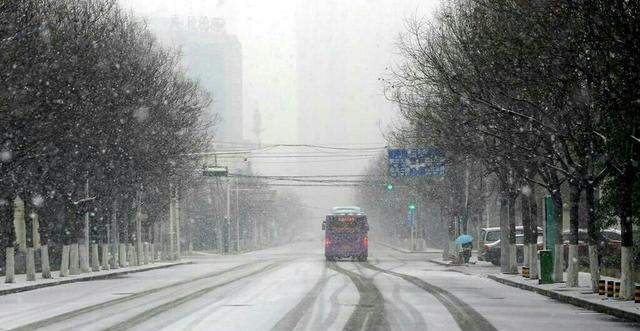 好看！河南网友冒雪拍摄下雪美景