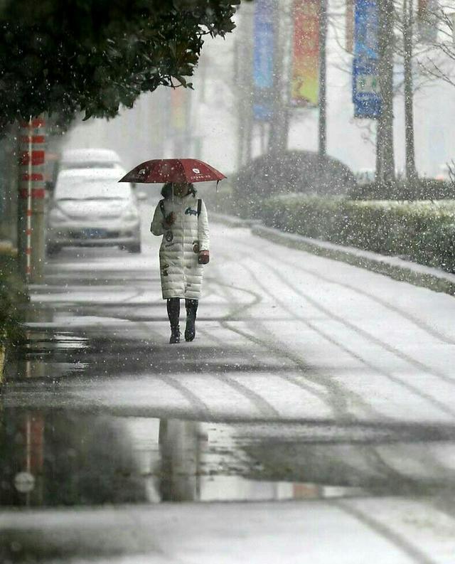 好看！河南网友冒雪拍摄下雪美景