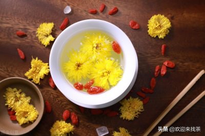 ​菊花的花语是什么？说到菊花你会想到什么？