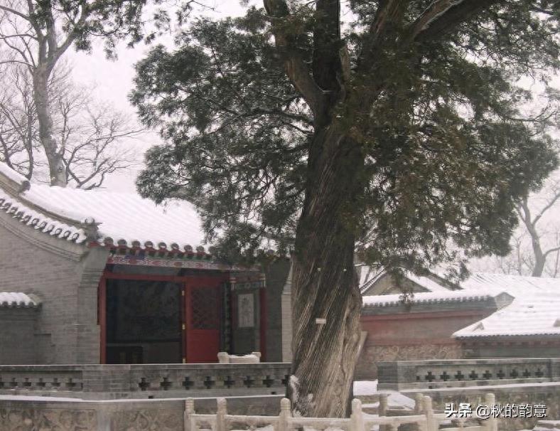 龙泉寺，位于北京海淀区西北边，景点有迎客松、金龙桥、古银杏树