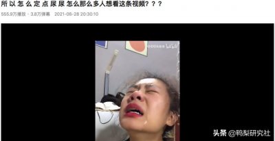 ​B站阿婆主凭借“八只狗”成功出圈，播放量500w+